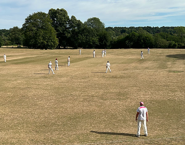 Cryptics fielding at Frensham July 26